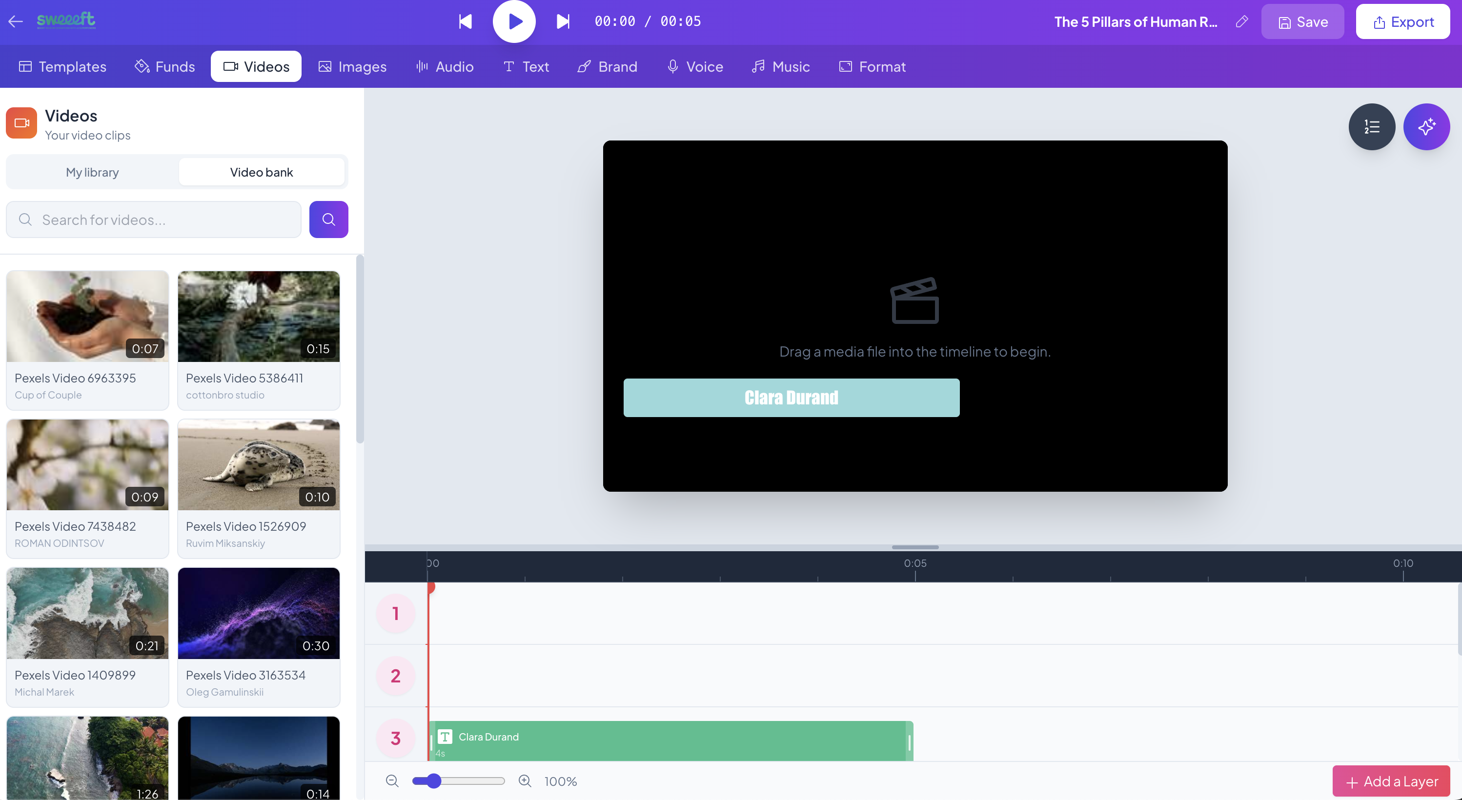 Éditeur Timeline — Pistes audio, timeline multi-couches et aperçu vidéo